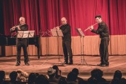 Concerto dos grupos de câmara - 2a. Edição do Fiato al Brasile